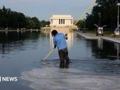 Ex atleta olímpico acusado de presuntamente destrozar el Washington Reflecting Pool