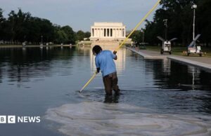 Ex atleta olímpico acusado de presuntamente destrozar el Washington Reflecting Pool