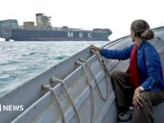 En el Estrecho de Ormuz, la BBC encuentra barcos incautados y pescadores de tiburones mientras regresa la calma incómoda