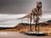 El T. rex podría convertirse en el fósil más caro de la historia, pero es un problema para los científicos