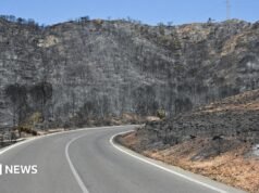 Rescatan a una pareja británica gravemente quemada de un barranco durante los incendios forestales en España