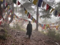 Las fuertes lluvias traen alivio a Delhi mientras se emiten alertas naranjas en varios estados | Actualizaciones de Monzón EN VIVO