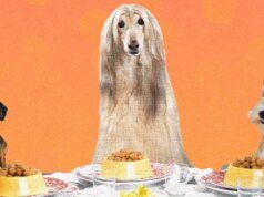 Hacemos deliciosas comidas caseras para nosotros mismos. ¿Por qué no hacer lo mismo con nuestros perros?