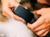 Tu perro puede correr, pero el nuevo rastreador de Fi garantiza que aún puedas encontrarlo