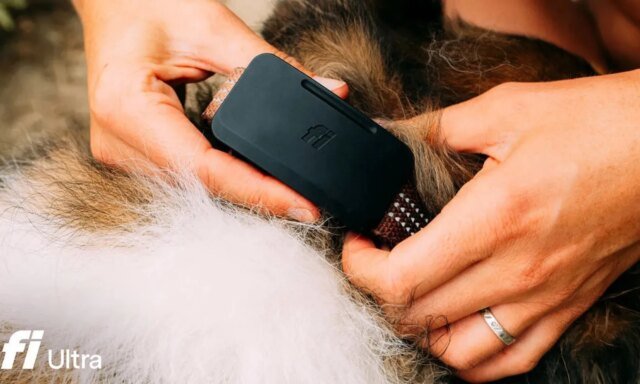 Fi-Ultra-Pet-tech.jpg