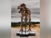 Un enorme fósil de T. rex se vende por 50 millones de dólares y se convierte en uno de los más caros jamás subastados