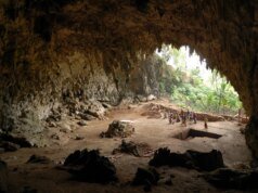 Así es como este ancestro humano parecido a un ‘hobbit’ sobrevivió en una isla con dragones de Komodo