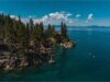 Un oso negro asaltando un bote de basura en un garaje de Lake Tahoe desencadena un dramático encuentro con la vida silvestre