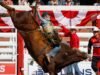 Os texanos dominam as finais de rodeio do Calgary Stampede e vencem quatro dos sete eventos