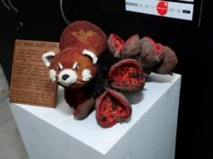 La próxima exposición de Kalyani Pramod en Chennai convierte los desechos en arte inspirado en especies en peligro de extinción