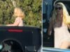 Britney Spears sorprende a los conductores con un arriesgado truco en la autopista después de un caso de DUI