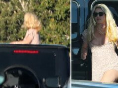 Britney Spears sorprende a los conductores con un arriesgado truco en la autopista después de un caso de DUI