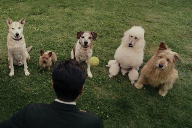 Sugar_dogs-1280x853.jpg
