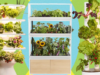 Los mejores sistemas de jardín inside: he estado probando todo el año (2026)