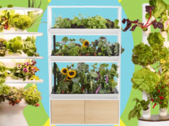Los mejores sistemas de jardín inside: he estado probando todo el año (2026)