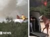 Ver: Caballos evacuados mientras el incendio se acerca al centro de equitación cerca de París