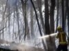 Doce personas mueren en un incendio forestal en España mientras continúa la ola de calor en el sur de Europa