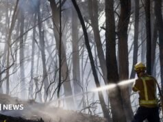 Doce personas mueren en un incendio forestal en España mientras continúa la ola de calor en el sur de Europa