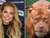 La estrella de telerrealidad atacada por XL Bully comparte detalles de sus heridas que le rompen los huesos