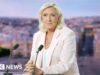 Ver: Marine Le Pen confirma su candidatura a la presidencia francesa
