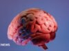 Cómo los científicos indios están trazando el mapa de la última frontera del cerebro