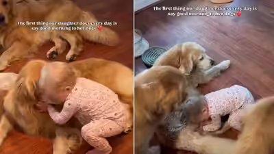 doggo321.jpg