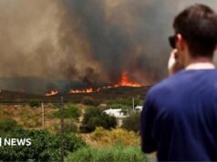 «Realmente aterrador, increíblemente rápido»: los testigos describen su huida del mortal incendio forestal en España