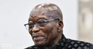 Zuma muestra el «dedo medio» de Sudáfrica al reunirse con el hermano de Gupta: ministro