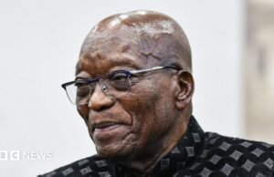 Zuma muestra el «dedo medio» de Sudáfrica al reunirse con el hermano de Gupta: ministro