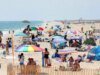 Los avistamientos de tiburones activan la alarma en la playa después de que un nadador fuera mordido durante el pico de verano