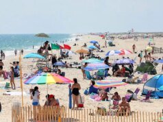 Los avistamientos de tiburones activan la alarma en la playa después de que un nadador fuera mordido durante el pico de verano