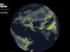 Hay una pink international de hongos bajo tus pies. Este es el primer mapa completo