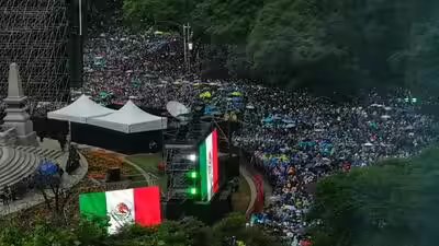 mexico-wcup-soccer-reaction.jpg