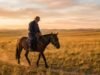 Proverbio mongol del día: «Un caballo conoce el camino, incluso si su jinete no lo sabe»