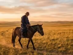 Proverbio mongol del día: «Un caballo conoce el camino, incluso si su jinete no lo sabe»