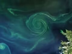 Nanoburbujas probadas en una piscina reflectante: los ingenieros implementan un sistema de ozono; Los científicos observan mares privados de oxígeno