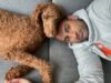 Proyecto mascota: la nueva aplicación del estudio de startups de Seattle conecta a los vecinos a través de sus perros