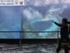 Por qué EE.UU., la UE y 13 países respaldan el fallo del Mar Meridional de China de 2016 contra las reclamaciones de Beijing