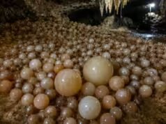 Investigadores descubren una cueva con raras perlas de cueva en el Parque Nacional Phong Nha-Ke Bang de Vietnam