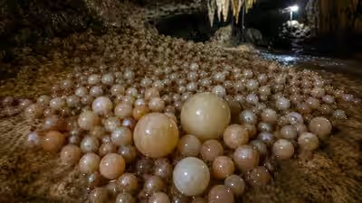 researchers-discover-cave-with-rare-cave-pearls-in-vietnam39s-phong-nha-ke-bang-national-park.jpg