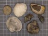 Los científicos finalmente resolvieron el misterio de la ‘gran muerte’ de la Tierra. Son malas noticias para nuestro futuro