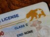 Millones de números de licencias de conducir expuestos en una filtración masiva de datos