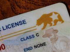 Millones de números de licencias de conducir expuestos en una filtración masiva de datos