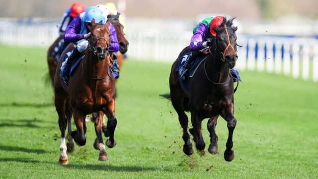 skysports-a-bear-affair-doncaster_7205592.jpg