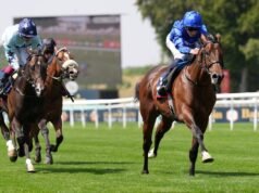 Insurgent’s Romance prova vencedor in style em Newmarket