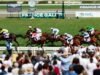 Elmonjed busca riquezas em Deauville