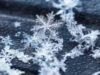 Proverbio canadiense del día: «Ningún copo de nieve cae dos veces igual»