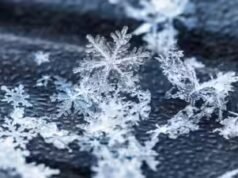 Proverbio canadiense del día: «Ningún copo de nieve cae dos veces igual»