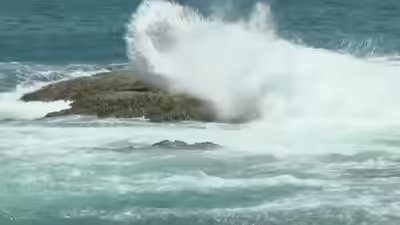 typhoon-bavi-photo-credit-reuters.jpg