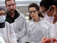 ‘The Pitt’ obtiene 25 nominaciones en complete, incluidas 13 nominaciones de interpretación